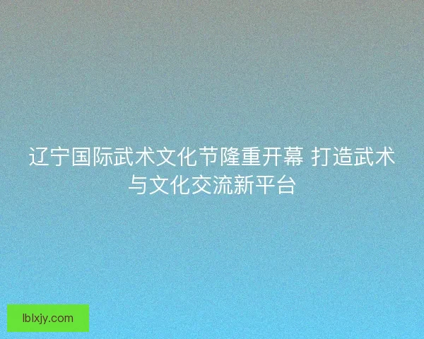 辽宁国际武术文化节隆重开幕 打造武术与文化交流新平台