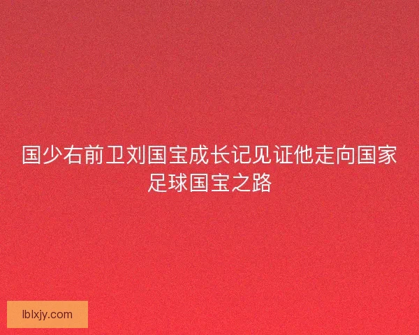 国少右前卫刘国宝成长记见证他走向国家足球国宝之路